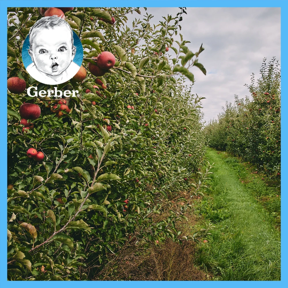 Gerber Owsianka grūdų desertas su mangais ir bananais po 6 mėnesių 110 g