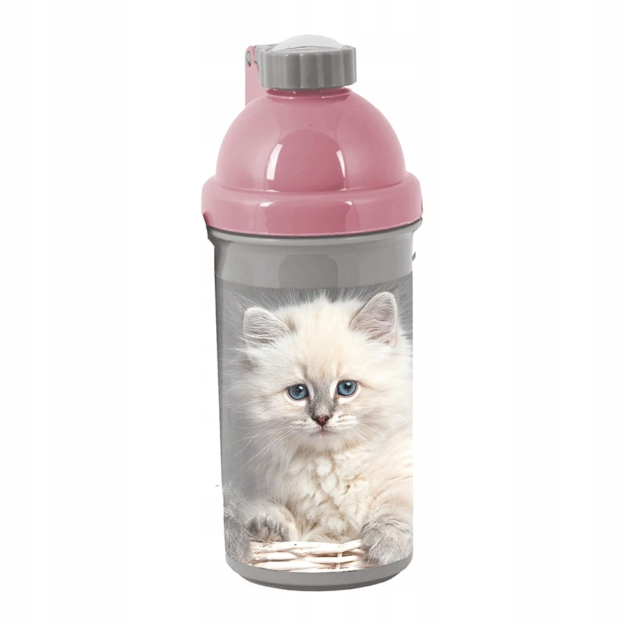Gertuvė Bidon Paso School, 550ml