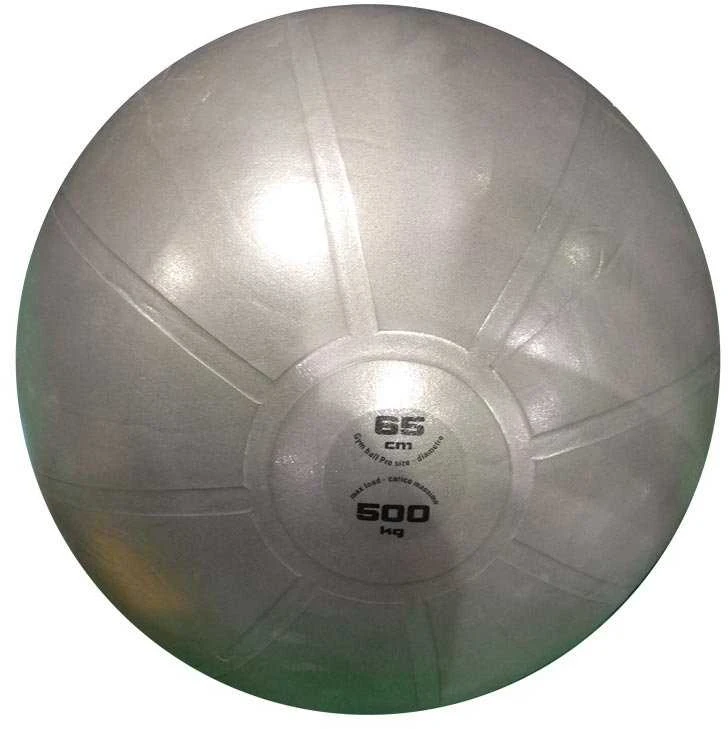 Gimnast. kamuolys 75cm TOORX AHF-013 violetinė +pompa