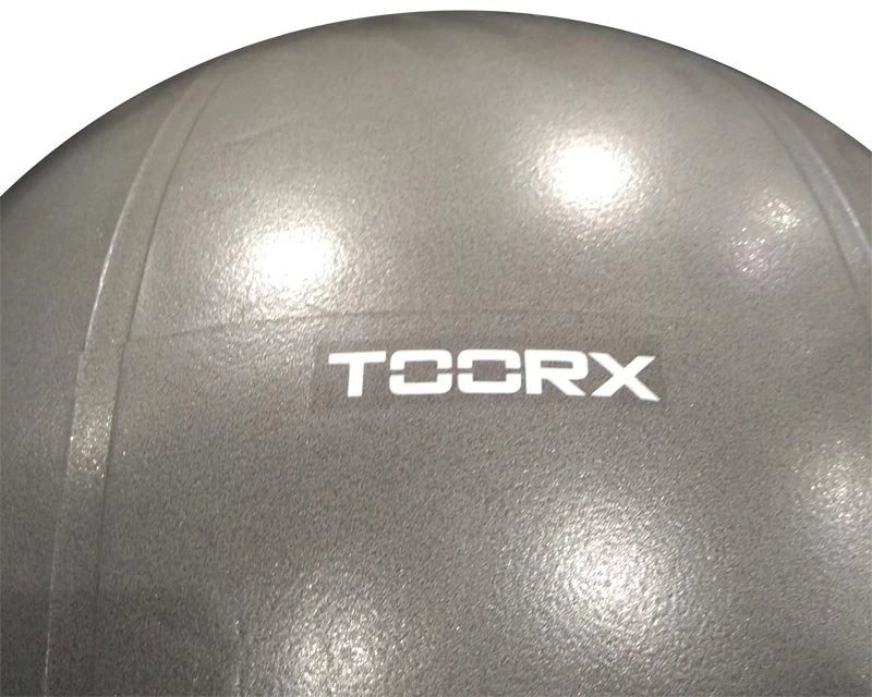 Gimnast. kamuolys 75cm TOORX AHF-013 violetinė +pompa