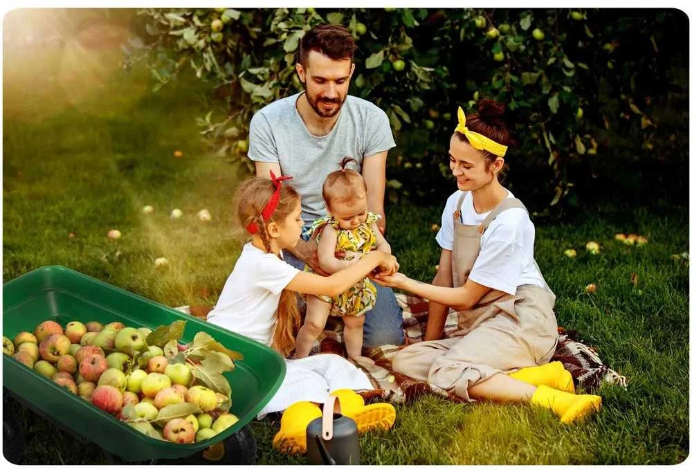 Humberg Sodo savivartis vežimėlis, 52 litrų talpa, tvirtas plieno rėmas, pneumatinės padangos, pasukama ašis, sodo vežimėlis