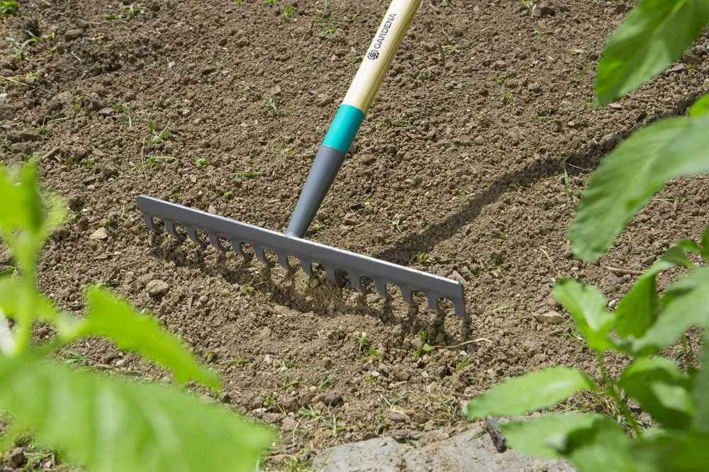 Grėblys ClassicLine Gardena 36cm/150cm mediniu kotu