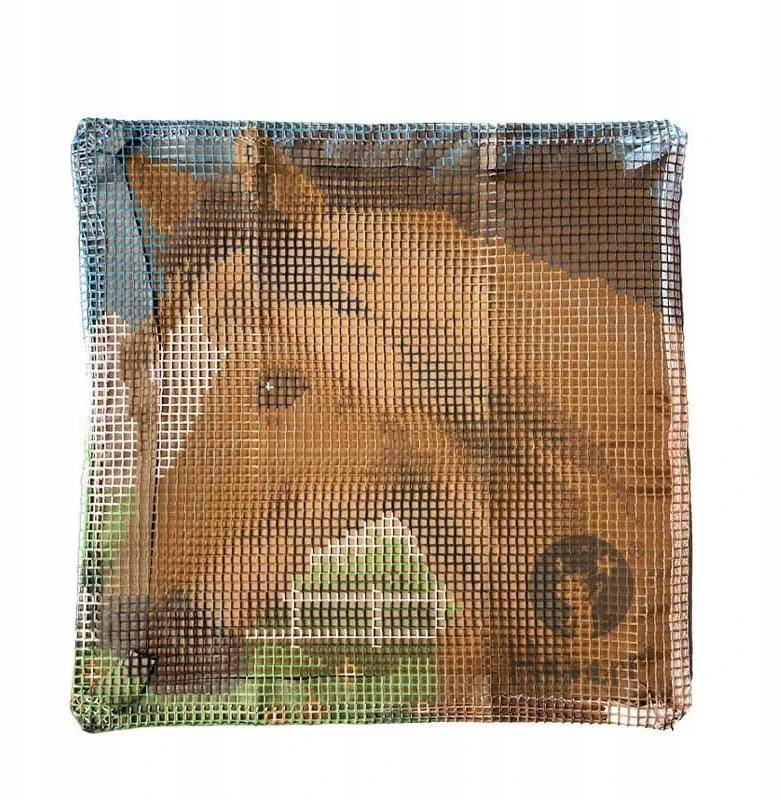 Habarri Shaggy nerti drobės siuvinėjimas DIY pagalvė Horse Horse Hobis