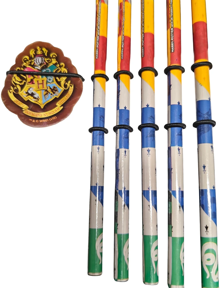 HARRY POTTER HIT SCHOOL LAYETTE RINKINYS PIRMAMS KLASEI 12 vnt.