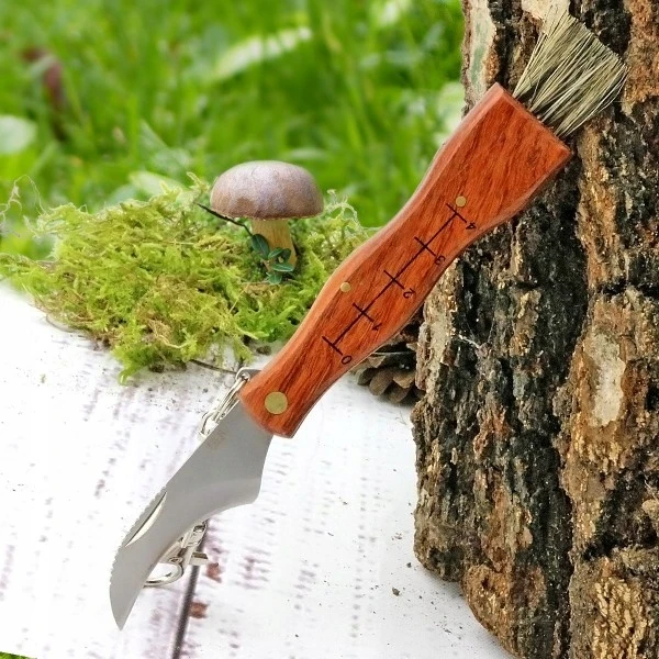 Ikonka Patogus grybų peilis su šepetėliu, 21 cm