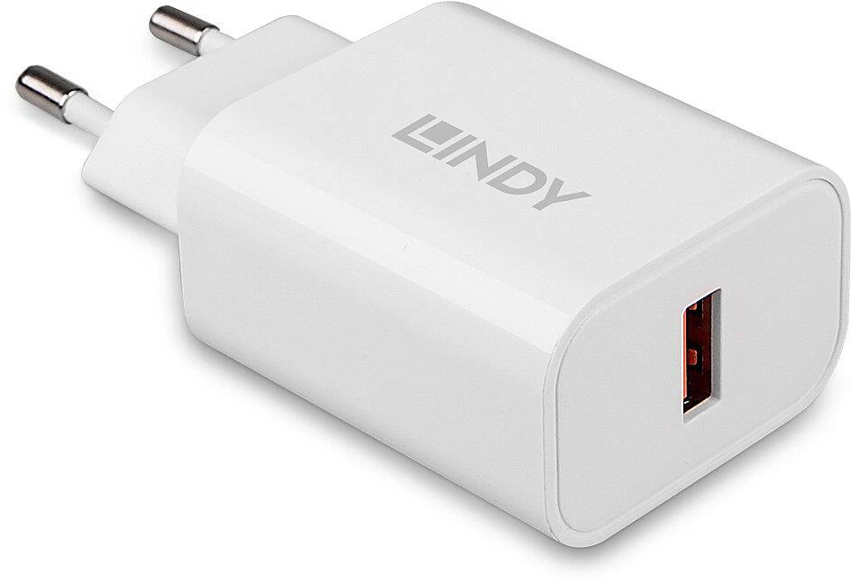 USB Įkrovimo Stotelė - Lindy 73309 10 Prievadų 96 W Juoda