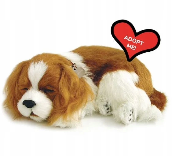 Interaktyvus šuo Perfect Petzzz Cavalier King Charles šuniukas