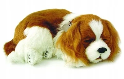 Interaktyvus šuo Perfect Petzzz Cavalier King Charles šuniukas