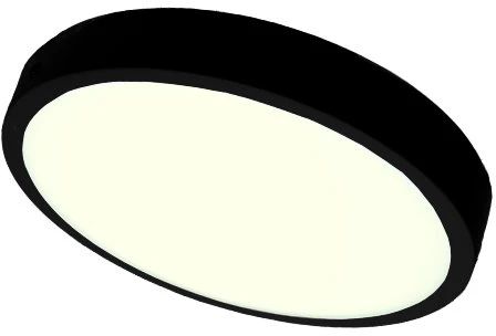 Lubinis šviestuvas Išmanus paviršinis LED šviestuvas EGLO FUEVA-Z, IP44 16,5W, 2700-6500K, 2100lm, juodos sp, Ø21cm,APP