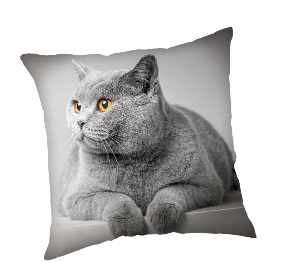 Jerry Fabrics Užvalkalas dziecięca 45x45 Kot pilka
