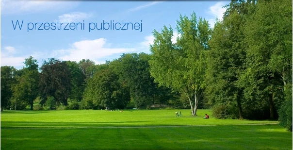 Jis Vienija Specialistus Šešėlinė sodo žolė pavėsingoms vietoms, 5kg parkas