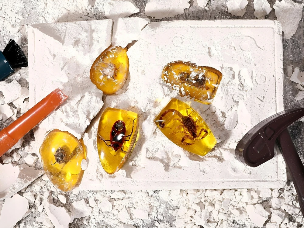 Jokomisiada VAbzdžių FOSILIJŲ GINTARO KASIMAS ARCHEAOLOGINIS GINTARO RINKINYS