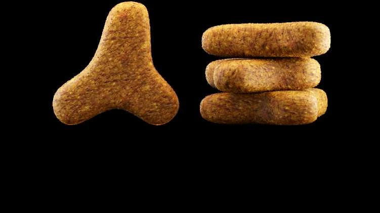 Akcija! Josera Leger sausas maistas suaugusioms sterilizuotoms ir mažiau aktyvioms katėms 10kg