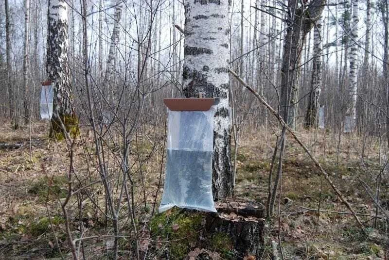Kaiščių komplektas Libertu 3vnt.
