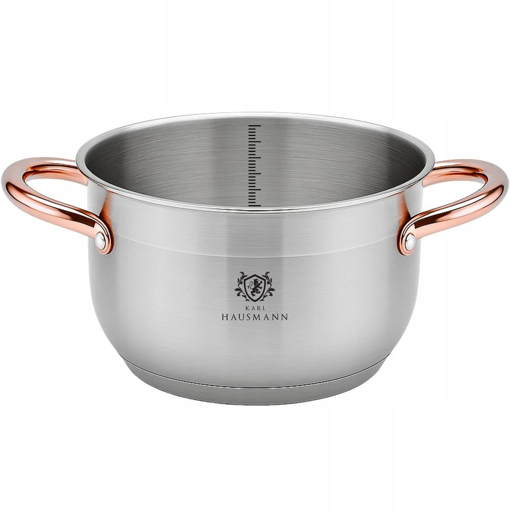 Karl Hausmann INDUKCINĖS DUJINĖS NERŪDIJANTOJO PLIENO 1,6L 16cm SU DANČIU AUKSINIU