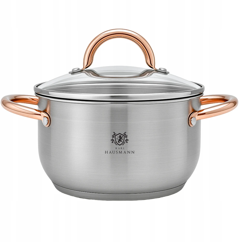 Karl Hausmann INDUKCINĖS DUJINĖS NERŪDIJANTOJO PLIENO 1,6L 16cm SU DANČIU AUKSINIU