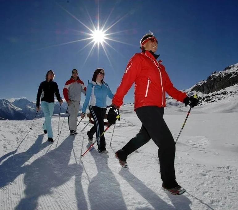 Karwil Sulankstomi trekingo lazdelės Nordic Walking, 2 vnt.