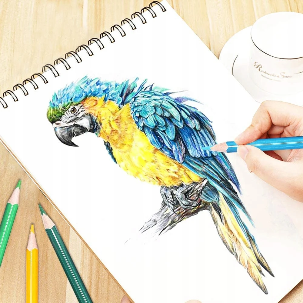 Kd Art Studio PROFESIONALUS MINKŠČIŲ KREDITŲ KREDĖLIŲ RINKINYS, SKIRTA PIEŠIMO KREIDOLĖMS 46 SPALVŲ