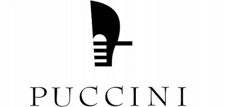 Lėktuvo kelioninės kabinos kuprinė nešiojamam kompiuteriui PUCCINI Rožinė PM90171-3C