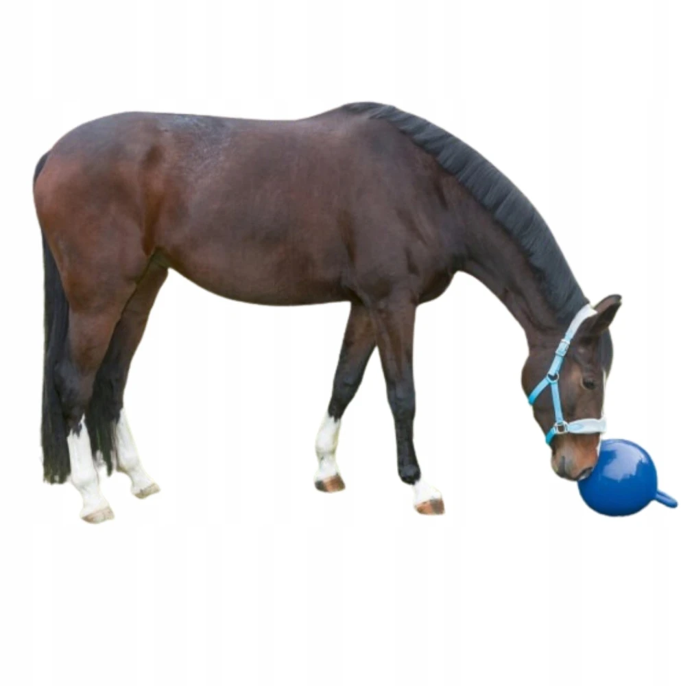 KERBL KOERA MÄNGUASI PALL 25CM SININE