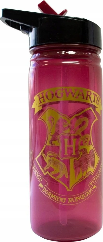 Kids Euroswan Vandens butelis 600ml Hario Poterio
