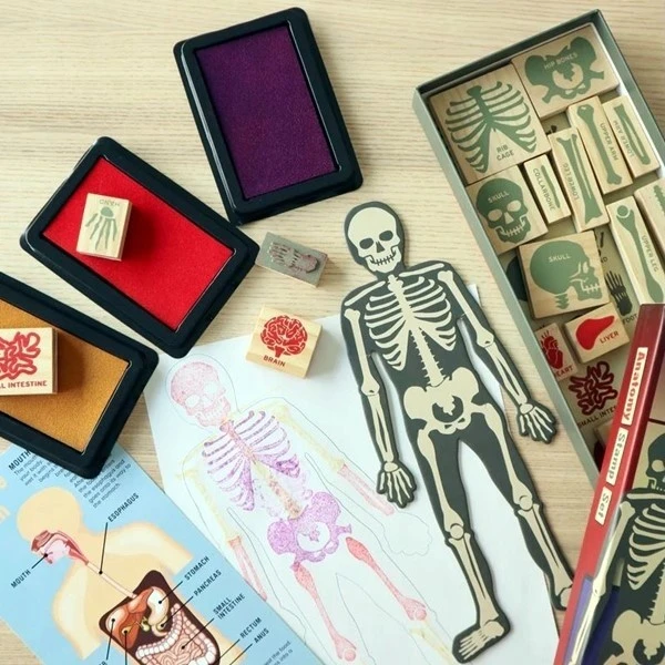 KIKKERLAND ANATOMY STAMPŲ RINKINYS 21 vnt