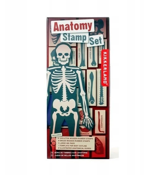KIKKERLAND ANATOMY STAMPŲ RINKINYS 21 vnt