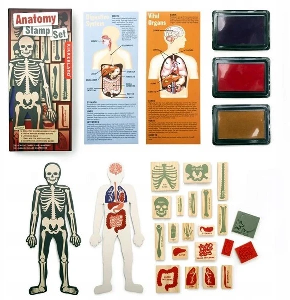 KIKKERLAND ANATOMY STAMPŲ RINKINYS 21 vnt