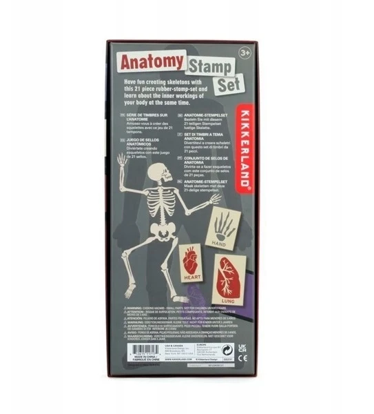 KIKKERLAND ANATOMY STAMPŲ RINKINYS 21 vnt