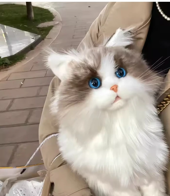 KING Realistiškas pliušinis katės žaislas KITTEN Ragdoll LIKE REAL