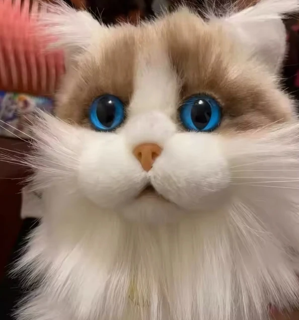 KING Realistiškas pliušinis katės žaislas KITTEN Ragdoll LIKE REAL