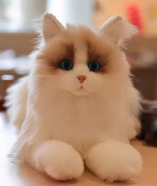 KING Realistiškas pliušinis katės žaislas KITTEN Ragdoll LIKE REAL