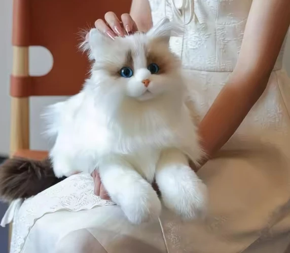 KING Realistiškas pliušinis katės žaislas KITTEN Ragdoll LIKE REAL