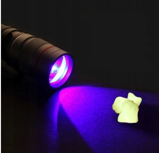 KIŠENINĖ 395 NM COB UV BIRŠTINĖ MAŽAS DEKLINIMAS GINTARUI RASTI