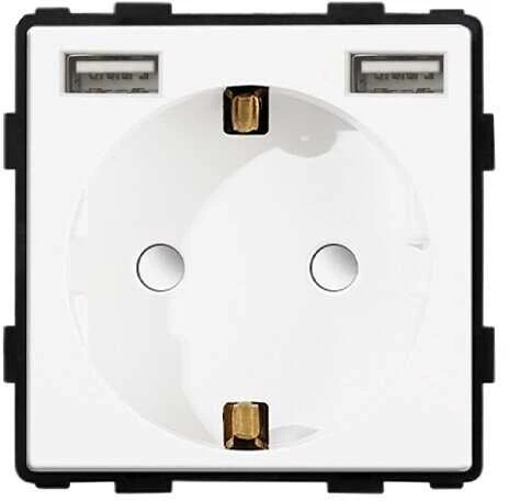 Kištukinis lizdas su USB Feelspot