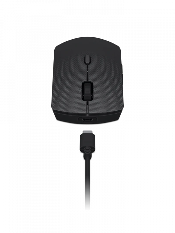 LENOVO PROFESSIONAL WIRELESS RECHARGEABLE Klaviatūra ir pelė COMBO AI - ESTONIA