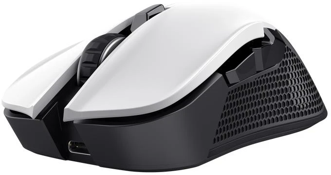 Kompiuterio pelė Trust GXT924, juoda