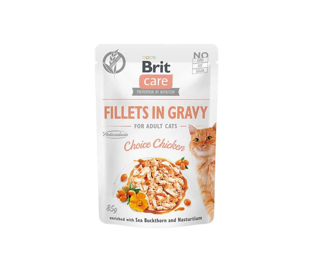 Brit_Care KONS KATĖMS BRITCARE HEALTHY triušiena 85 G