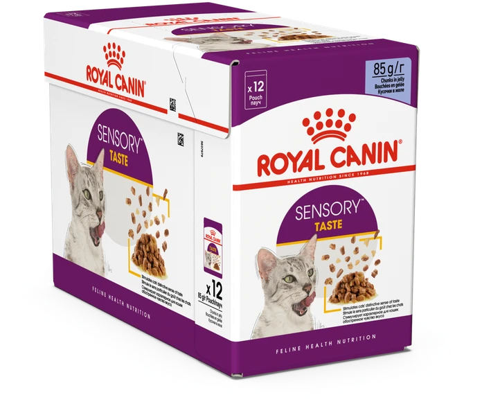 Royal Canin FHN Cat Sensory Feel Gravy 12x85 g