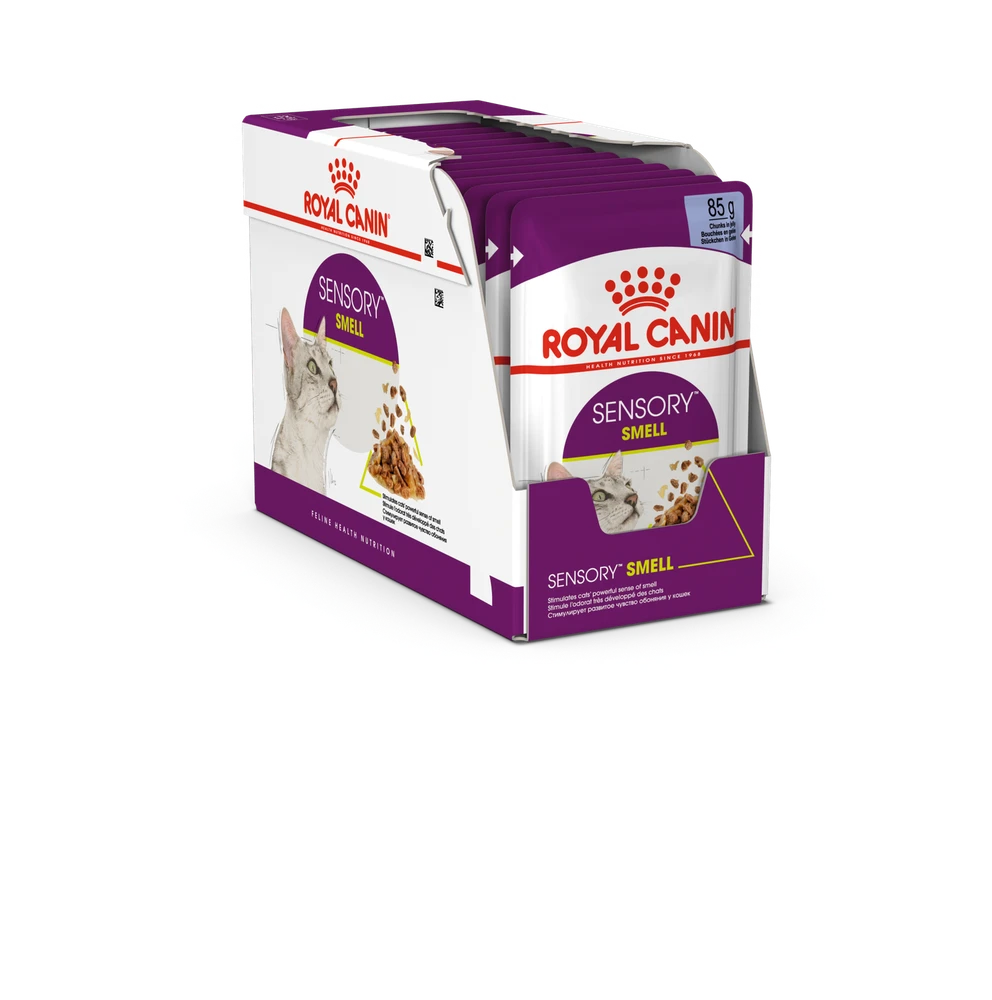 Royal Canin FHN Cat Sensory Smell Gravy 12x85 g
