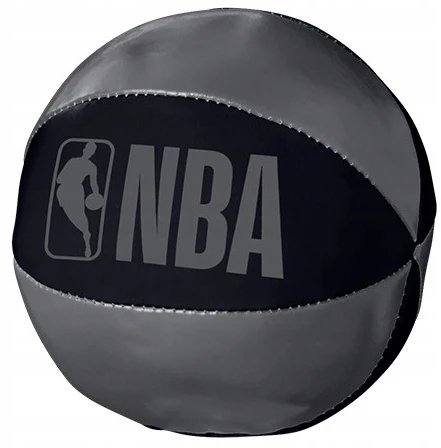 Krepšinio lenta 29x24 cm NBA Wilson