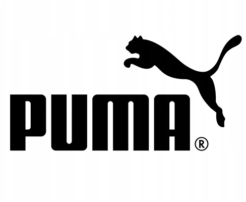 Batų Krepšys Puma TeamGOAL 23 Gym