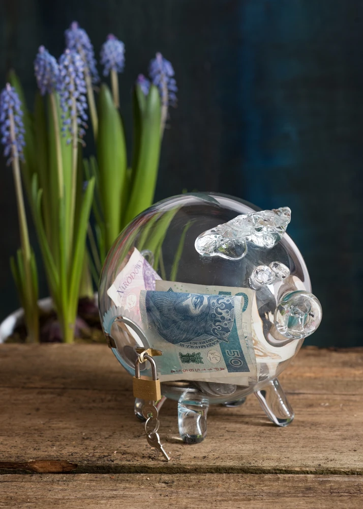 Krosno STIKLINIS PIGGY BANKAS ATIDARYMAS SU SPYNA, GRAVIRUOTAS, DIDELIS