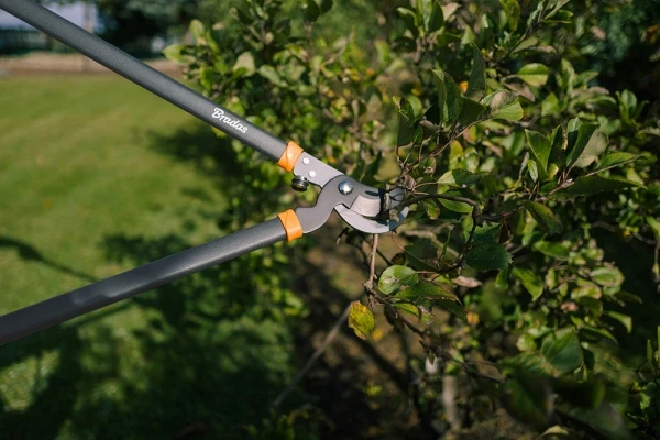 Bradas Krūmų genėjimo žirklės, teleskopinės, 61–95 cm ilgio, KT-V1210