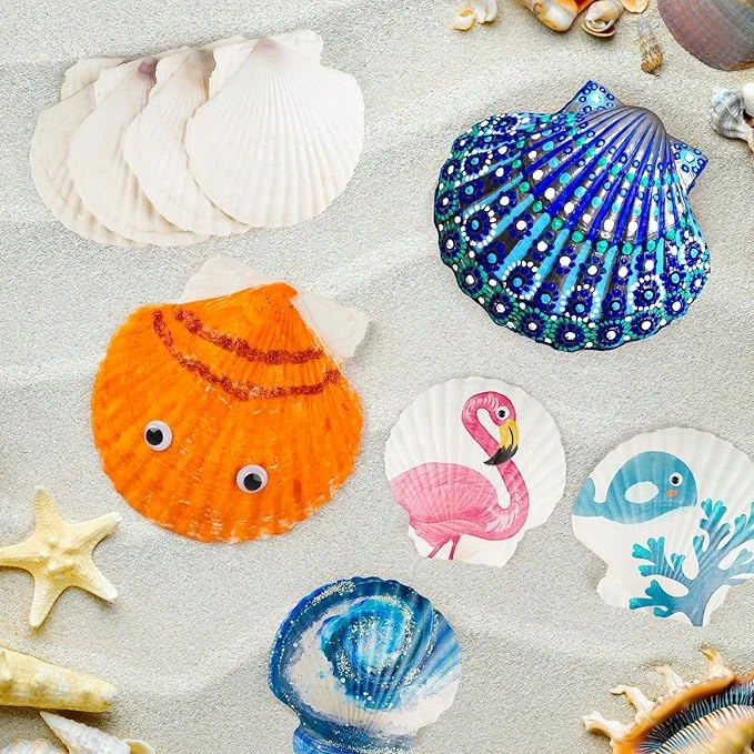 KŪRYBINGAS „Pasidaryk pats“ SHELL DAŽYMO RINKINYS, „SHELL Crafts“ DOVANA