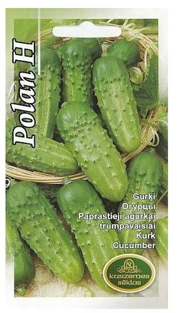 Kurzemes Seklas Agurkų sėklos 1g PolanF1