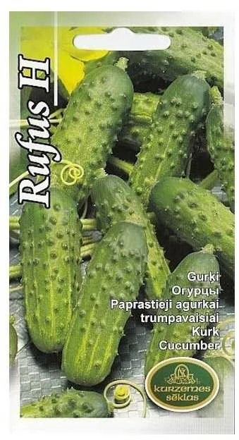 Kurzemes Seklas Agurkų sėklos 1g RufusF1