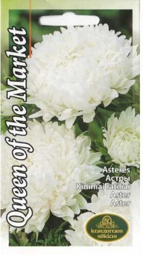 Kurzemes Seklas Astrų sėklos 0.5g Queen of the Market