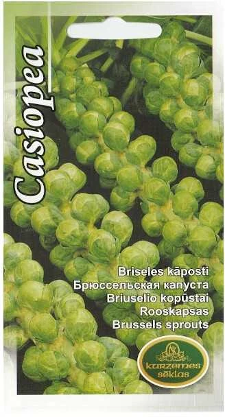 Kurzemes Seklas Briuselio kopūstų sėklos 2g Casiopea