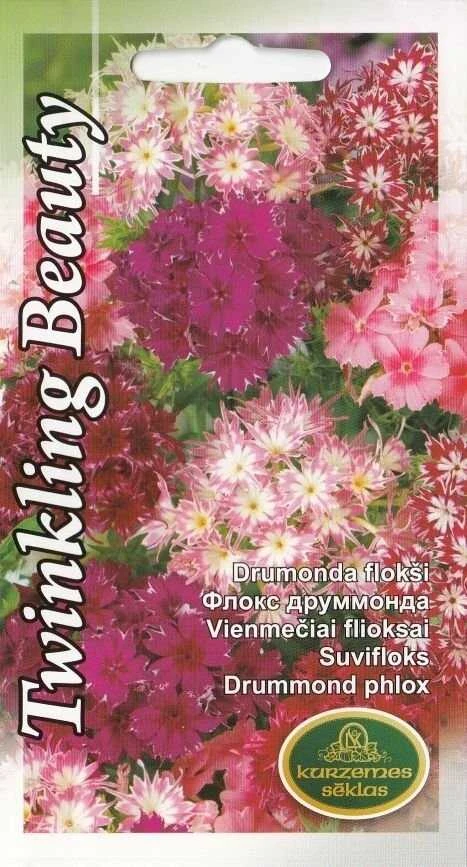 Kurzemes Seklas Drumondo flioksų sėklos 0.3g Twinkling Beauty